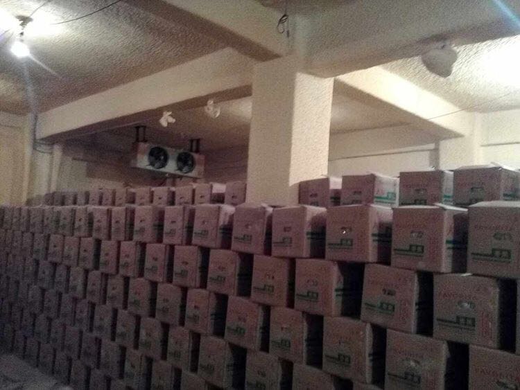 香蕉保鲜雷火APP下载_雷火（中国）
