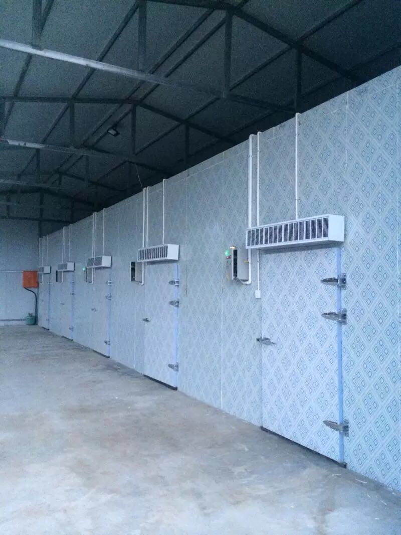 西安雷火APP下载_雷火（中国）
安装