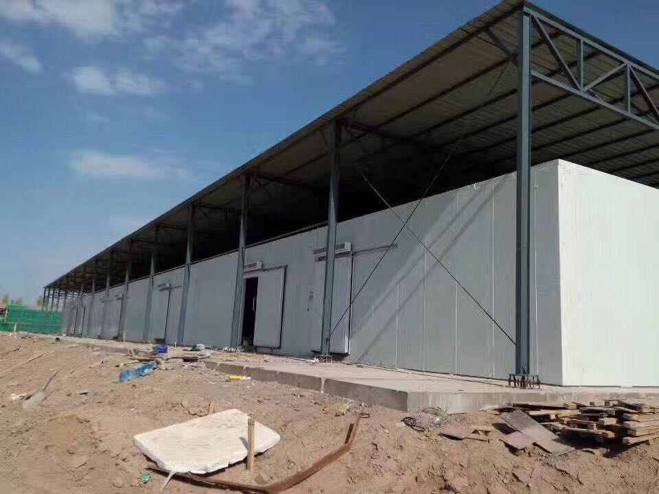 西安雷火APP下载_雷火（中国）
哪家好
