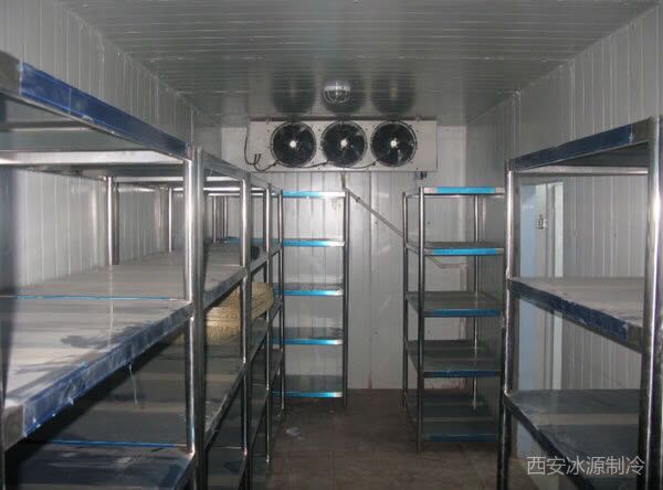 西安雷火APP下载_雷火（中国）
哪家好