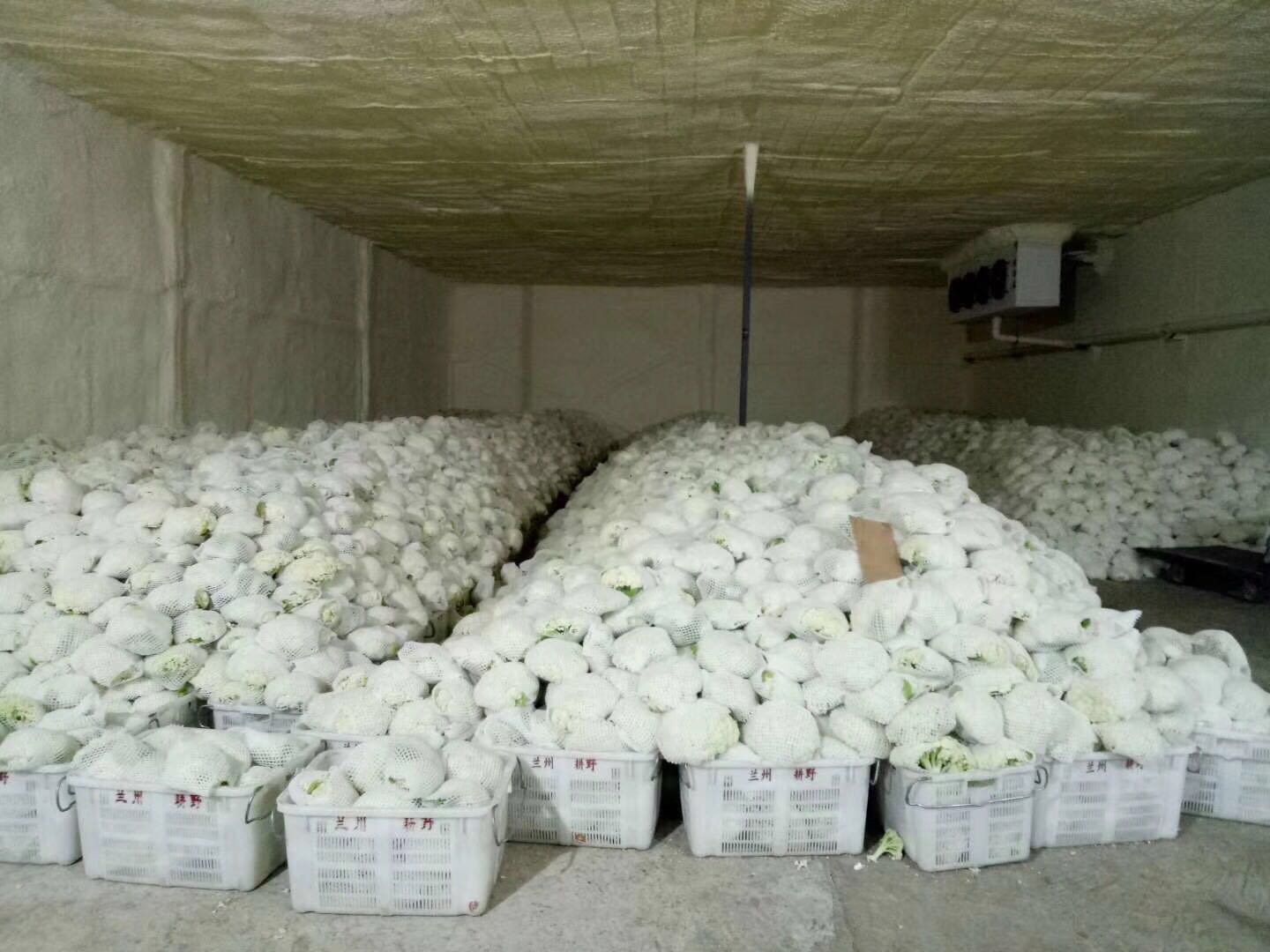 西安雷火APP下载_雷火（中国）
安装